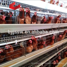 Used Layer Chicken Battery Cages for Laying hens